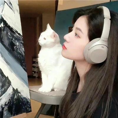 老鼠开会